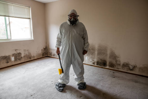 Forensic Mold Investigation in Ovilla, TX